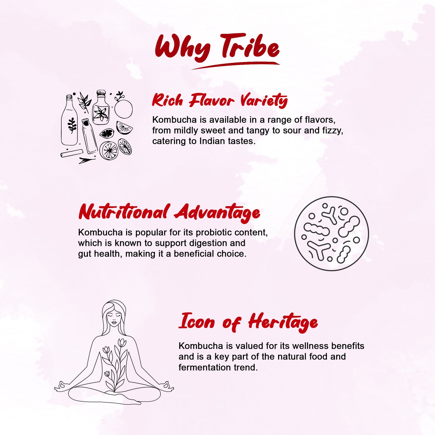 Tribe Kombucha Probiotic Super Drink | Supports Gut Health | Gluten-Free | Naturally Fermented | Super Refreshing | Gluten free | Antioxidant and Hydration | Lavender and Hibiscus| Pack of 24 |250 ML