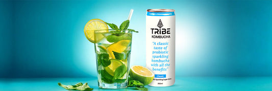 The Mystery of Kombucha Culture