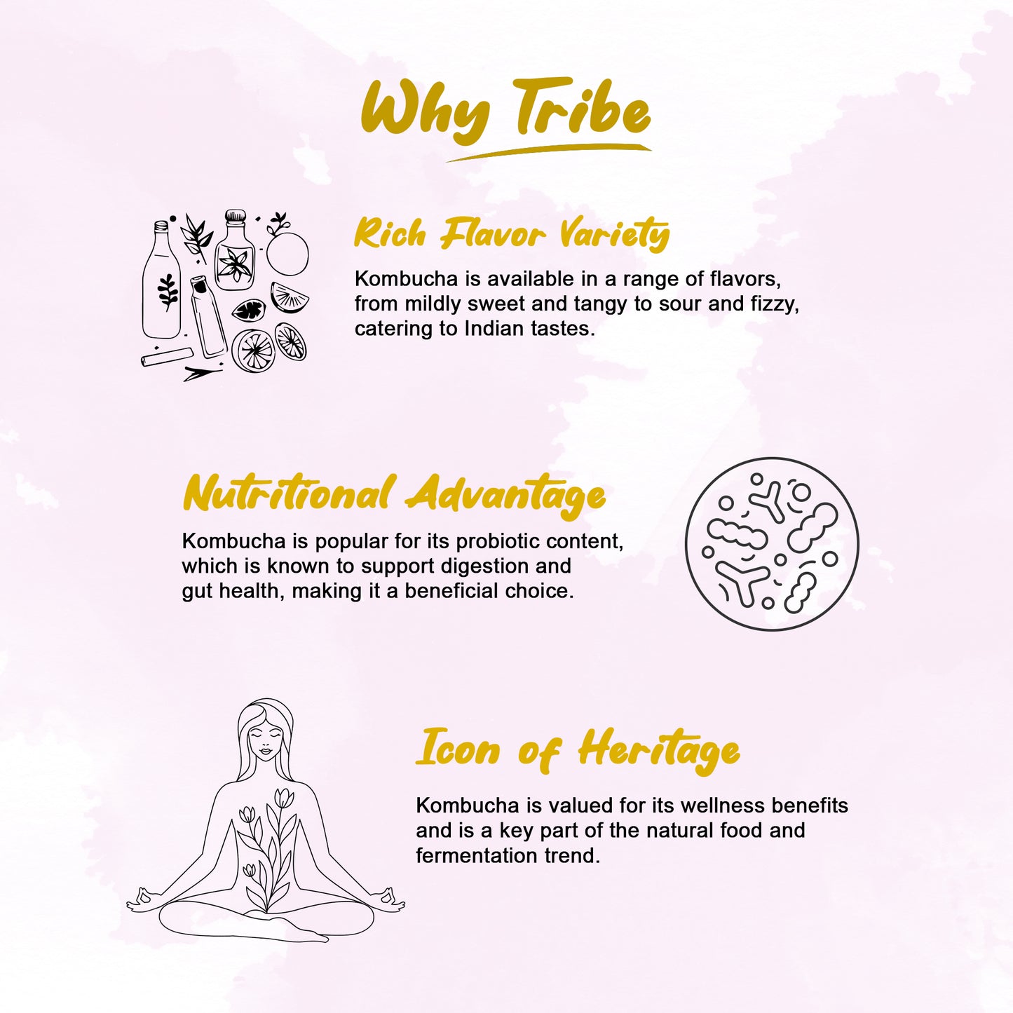 Tribe Kombucha Probiotic Super Drink | Supports Gut Health | Gluten-Free | Naturally Fermented | Super Refreshing | | Gluten free | Antioxidant and Hydration | Gingerade and Lavender| ack of 24 |250 ML