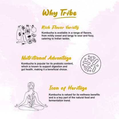 Tribe Kombucha Probiotic Super Drink | Supports Gut Health | Gluten-Free | Naturally Fermented | Super Refreshing | | Gluten free | Antioxidant and Hydration | Gingerade and Lavender| ack of 24 |250 ML
