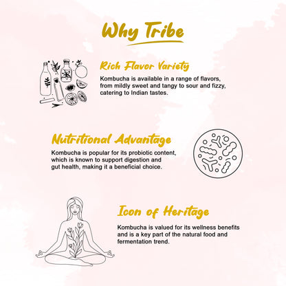 Tribe Kombucha Probiotic Super Drink | Supports Gut Health | Gluten-Free | Naturally Fermented | Super Refreshing | Gluten free | Antioxidant and Hydration | Gingerade and Hibiscus|Pack of 24 |250 ML