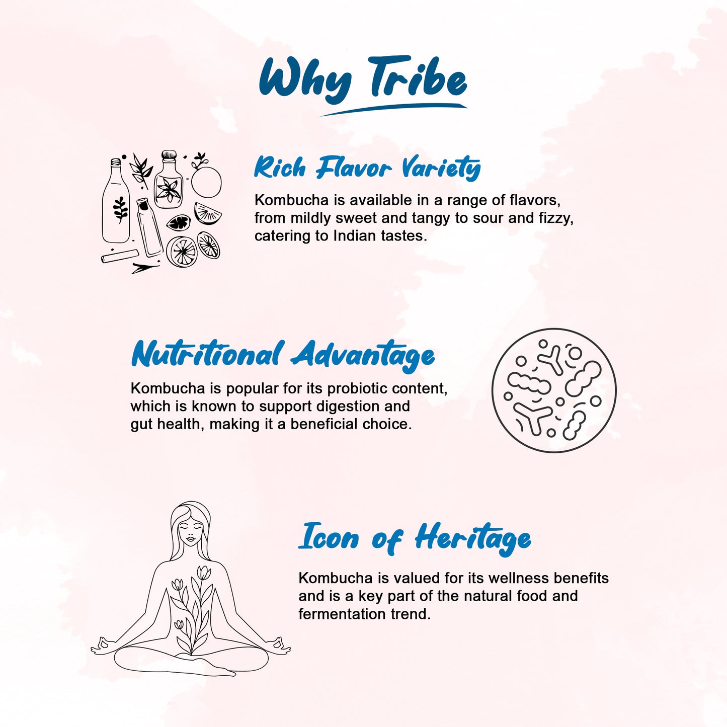 Tribe Kombucha Probiotic Super Drink | Supports Gut Health | Gluten-Free | Naturally Fermented | Super Refreshing | Gluten free | Antioxidant and Hydration | Classic and Hibiscus| Pack of 24 |250 ML