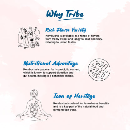 Tribe Kombucha Probiotic Super Drink | Supports Gut Health | Gluten-Free | Naturally Fermented | Super Refreshing | Gluten free | Antioxidant and Hydration | Classic and Hibiscus| Pack of 24 |250 ML