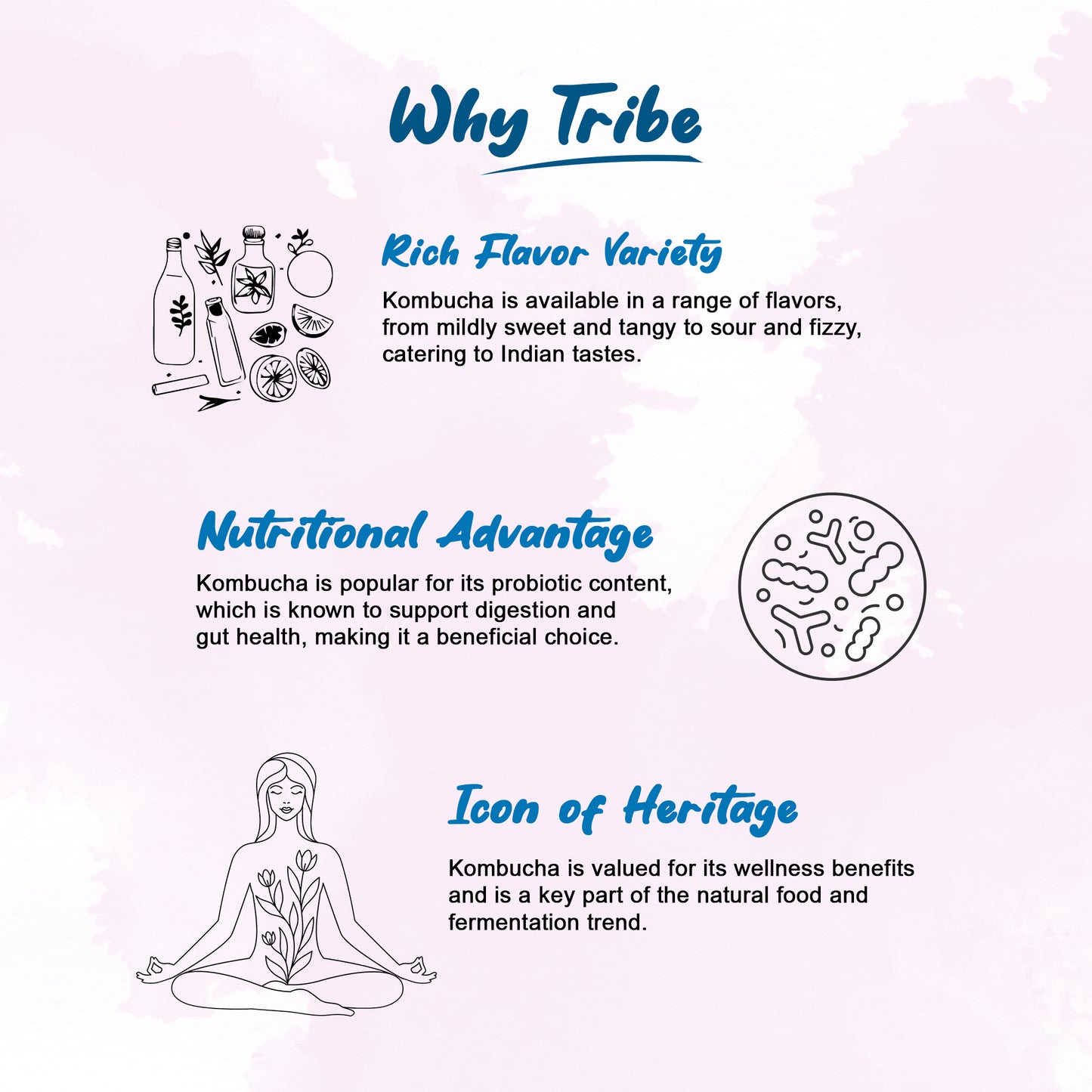 Tribe Kombucha Probiotic Super Drink | Supports Gut Health | Gluten-Free | Naturally Fermented | Super Refreshing | Classic and Lavender| Pack of 24 |250 ML