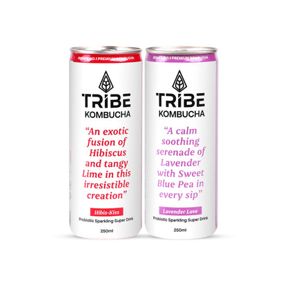 Tribe Kombucha Probiotic Super Drink | Supports Gut Health | Gluten-Free | Naturally Fermented | Super Refreshing | Gluten free | Antioxidant and Hydration | Lavender and Hibiscus| Pack of 24 |250 ML