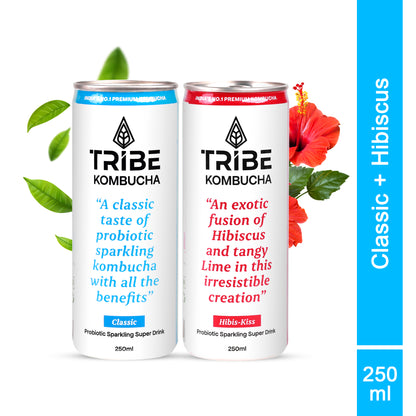Tribe Kombucha Probiotic Super Drink | Supports Gut Health | Gluten-Free | Naturally Fermented | Super Refreshing | Gluten free | Antioxidant and Hydration | Classic and Hibiscus| Pack of 24 |250 ML