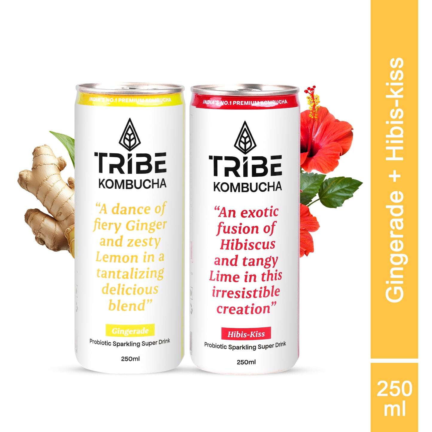 Tribe Kombucha Probiotic Super Drink | Supports Gut Health | Gluten-Free | Naturally Fermented | Super Refreshing | Gluten free | Antioxidant and Hydration | Gingerade and Hibiscus|Pack of 24 |250 ML