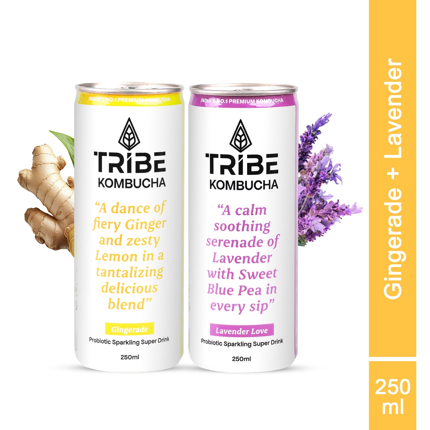 Tribe Kombucha Probiotic Super Drink | Supports Gut Health | Gluten-Free | Naturally Fermented | Super Refreshing | | Gluten free | Antioxidant and Hydration | Gingerade and Lavender| ack of 24 |250 ML