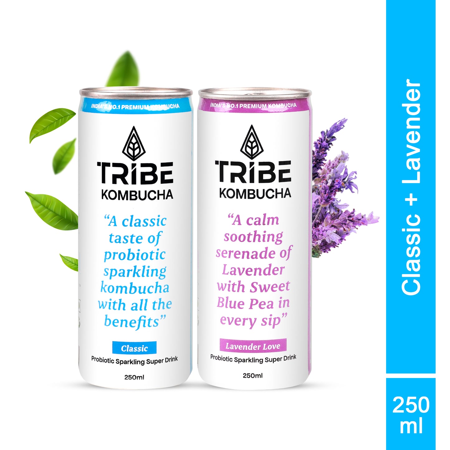 Tribe Kombucha Probiotic Super Drink | Supports Gut Health | Gluten-Free | Naturally Fermented | Super Refreshing | Classic and Lavender| Pack of 24 |250 ML