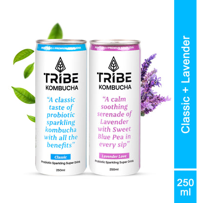 Tribe Kombucha Probiotic Super Drink | Supports Gut Health | Gluten-Free | Naturally Fermented | Super Refreshing | Classic and Lavender| Pack of 24 |250 ML