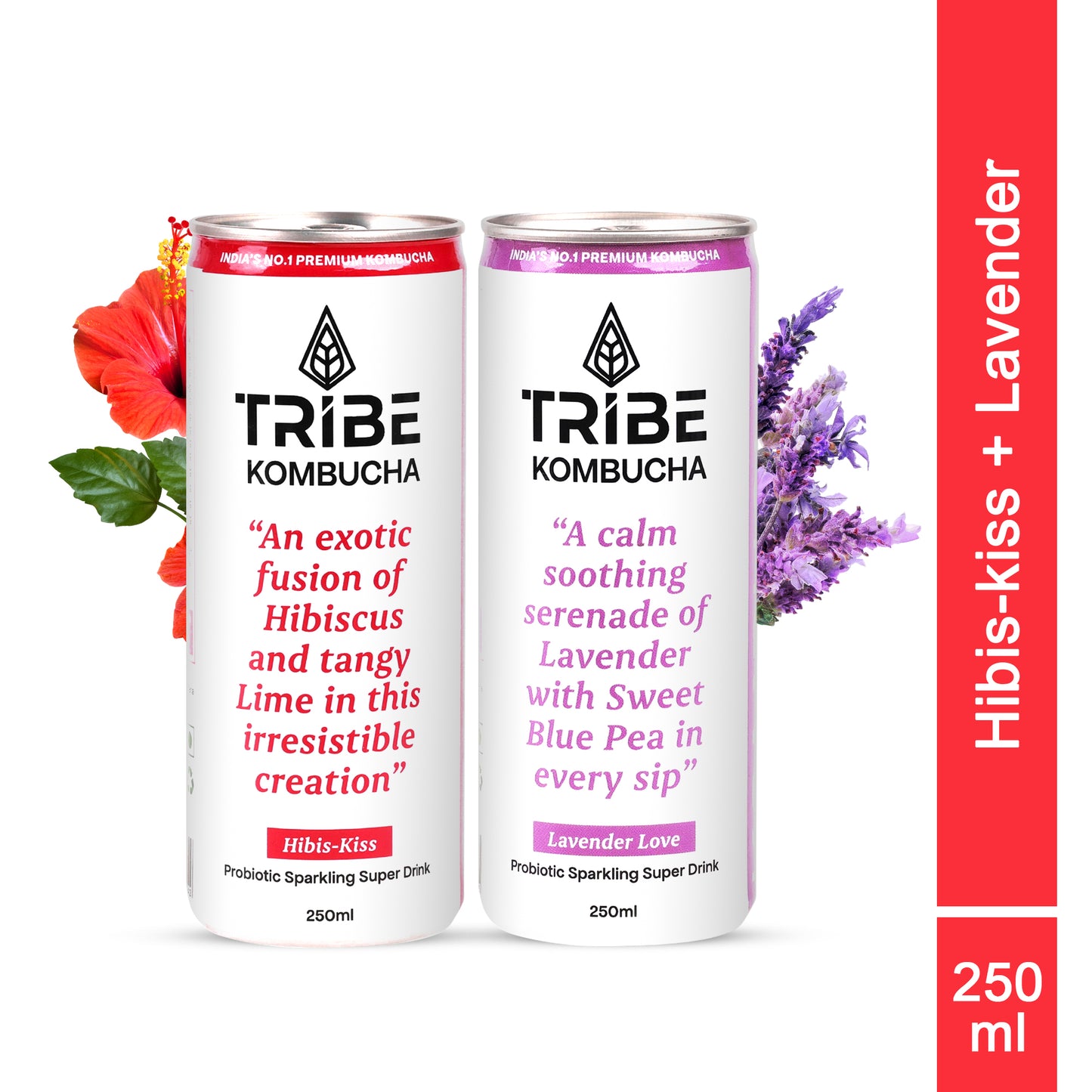 Tribe Kombucha Probiotic Super Drink | Supports Gut Health | Gluten-Free | Naturally Fermented | Super Refreshing | Gluten free | Antioxidant and Hydration | Lavender and Hibiscus| Pack of 24 |250 ML