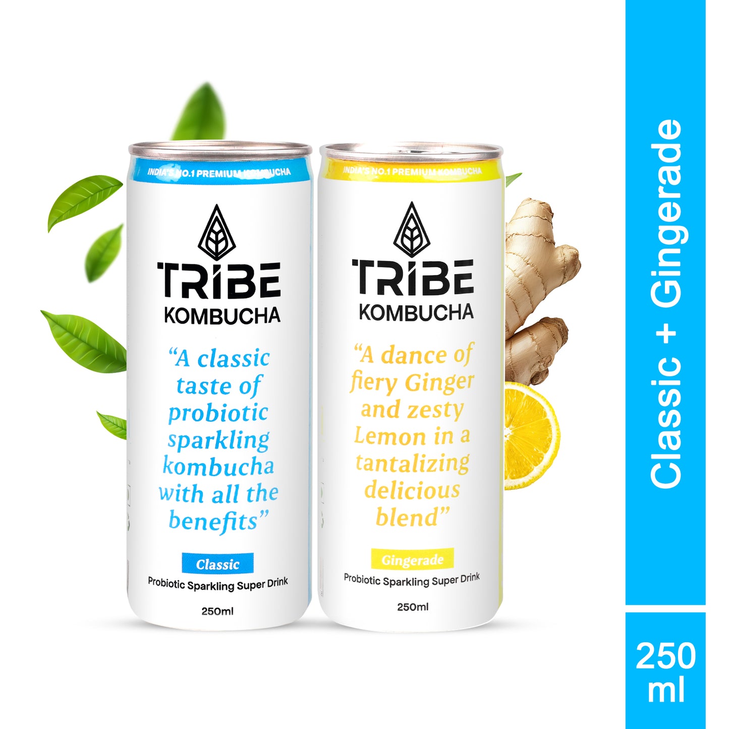 Tribe Kombucha Probiotic Super Drink | Supports Gut Health | Gluten-Free | Naturally Fermented | Super Refreshing |  Gluten free | Antioxidant and Hydration | Classic and Gingerade |Pack of 24 |250 ML