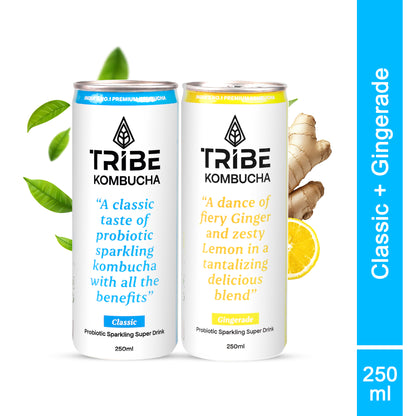 Tribe Kombucha Probiotic Super Drink | Supports Gut Health | Gluten-Free | Naturally Fermented | Super Refreshing |  Gluten free | Antioxidant and Hydration | Classic and Gingerade |Pack of 24 |250 ML