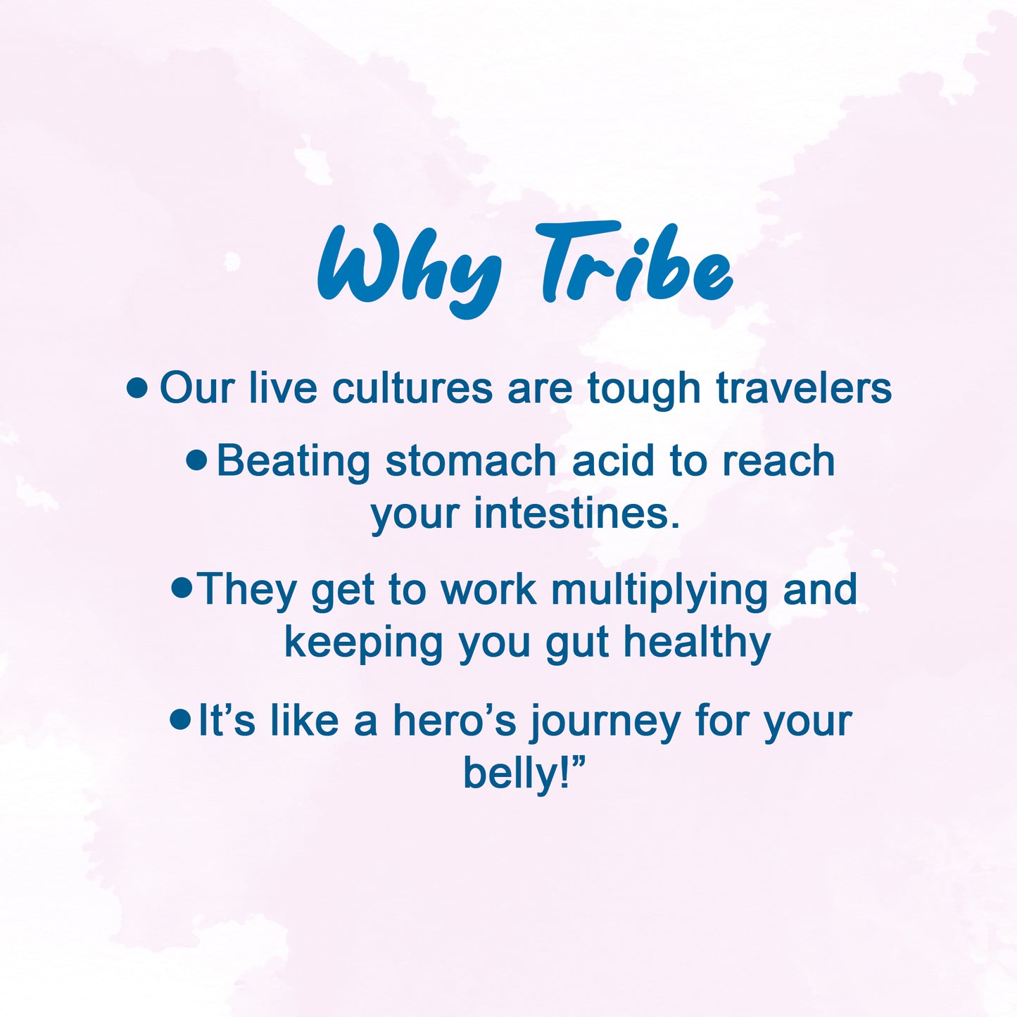 Tribe Kombucha Probiotic Super Drink | Supports Gut Health | Gluten-Free | Naturally Fermented | Super Refreshing | Classic and Lavender| Pack of 24 |250 ML