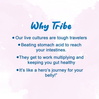 Tribe Kombucha Probiotic Super Drink | Supports Gut Health | Gluten-Free | Naturally Fermented | Super Refreshing | Classic and Lavender| Pack of 24 |250 ML