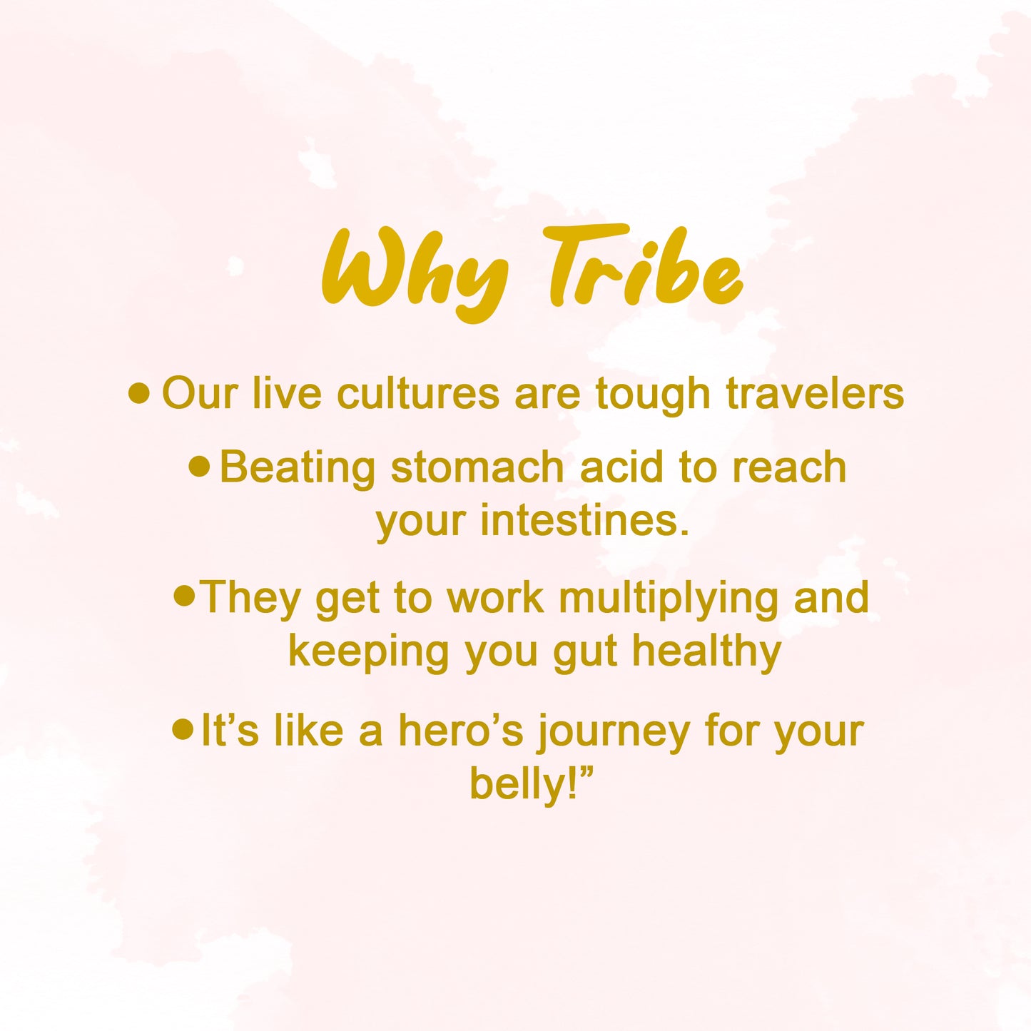 Tribe Kombucha Probiotic Super Drink | Supports Gut Health | Gluten-Free | Naturally Fermented | Super Refreshing | Gluten free | Antioxidant and Hydration | Gingerade and Hibiscus|Pack of 24 |250 ML