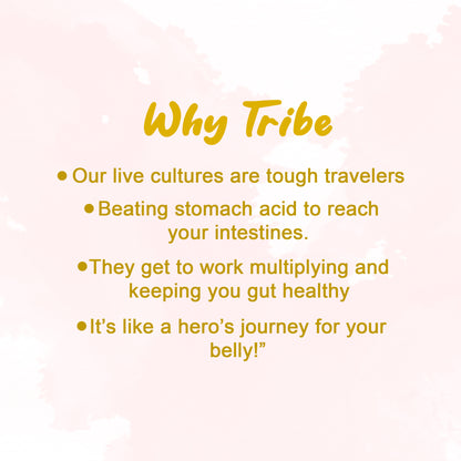 Tribe Kombucha Probiotic Super Drink | Supports Gut Health | Gluten-Free | Naturally Fermented | Super Refreshing | Gluten free | Antioxidant and Hydration | Gingerade and Hibiscus|Pack of 24 |250 ML