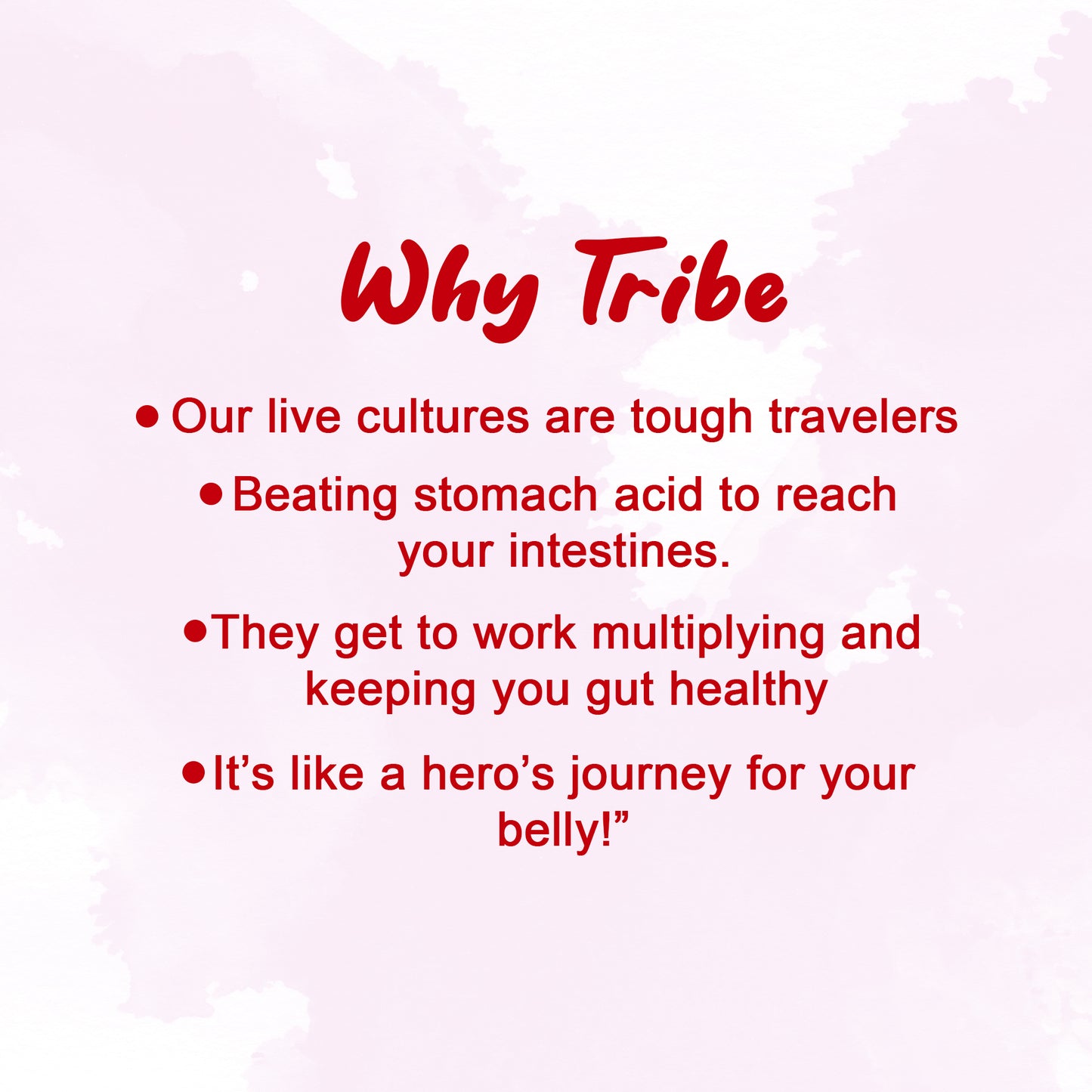 Tribe Kombucha Probiotic Super Drink | Supports Gut Health | Gluten-Free | Naturally Fermented | Super Refreshing | Gluten free | Antioxidant and Hydration | Lavender and Hibiscus| Pack of 24 |250 ML