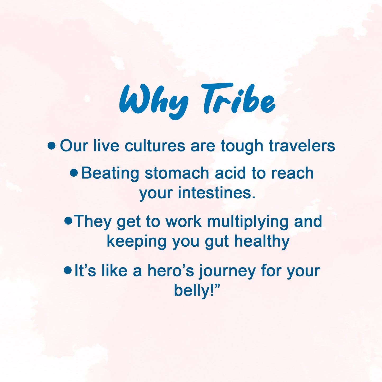 Tribe Kombucha Probiotic Super Drink | Supports Gut Health | Gluten-Free | Naturally Fermented | Super Refreshing | Gluten free | Antioxidant and Hydration | Classic and Hibiscus| Pack of 24 |250 ML