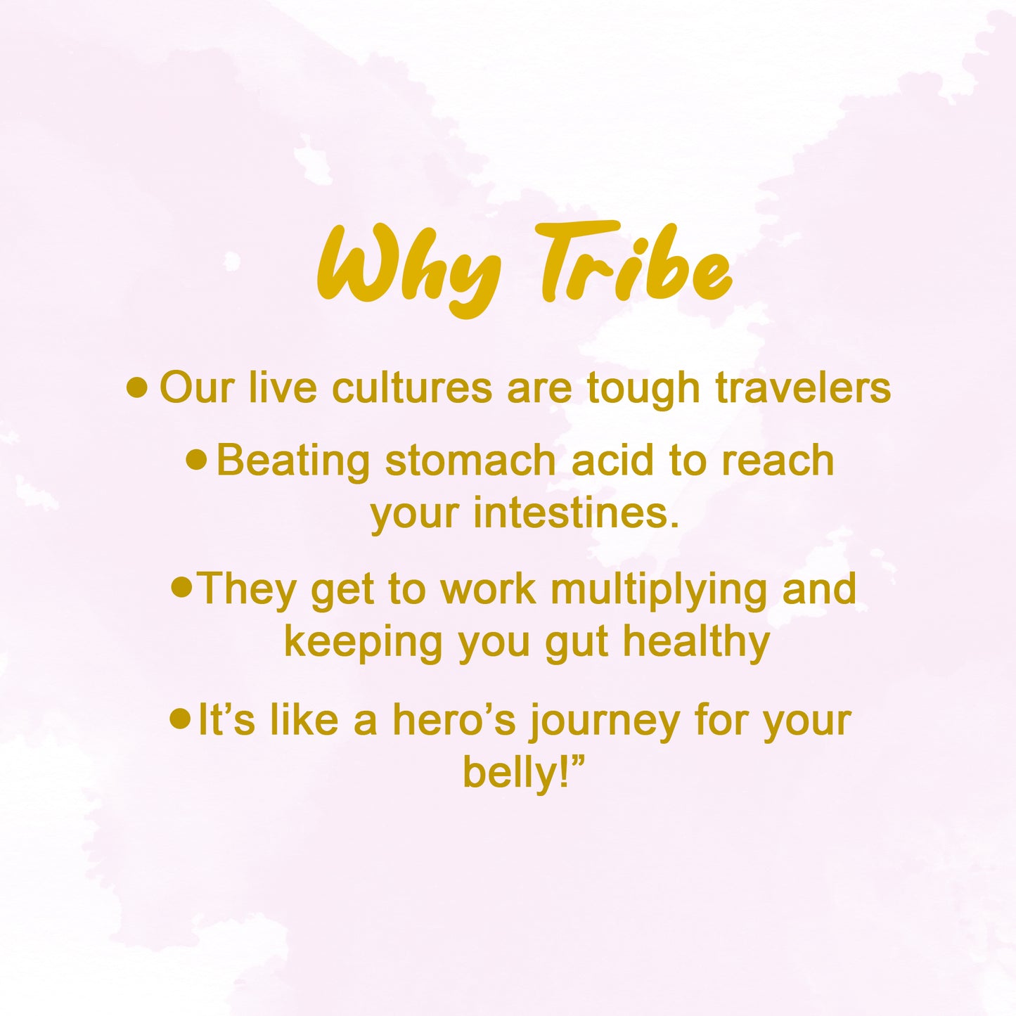 Tribe Kombucha Probiotic Super Drink | Supports Gut Health | Gluten-Free | Naturally Fermented | Super Refreshing | | Gluten free | Antioxidant and Hydration | Gingerade and Lavender| ack of 24 |250 ML