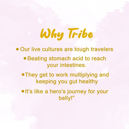 Tribe Kombucha Probiotic Super Drink | Supports Gut Health | Gluten-Free | Naturally Fermented | Super Refreshing | | Gluten free | Antioxidant and Hydration | Gingerade and Lavender| ack of 24 |250 ML