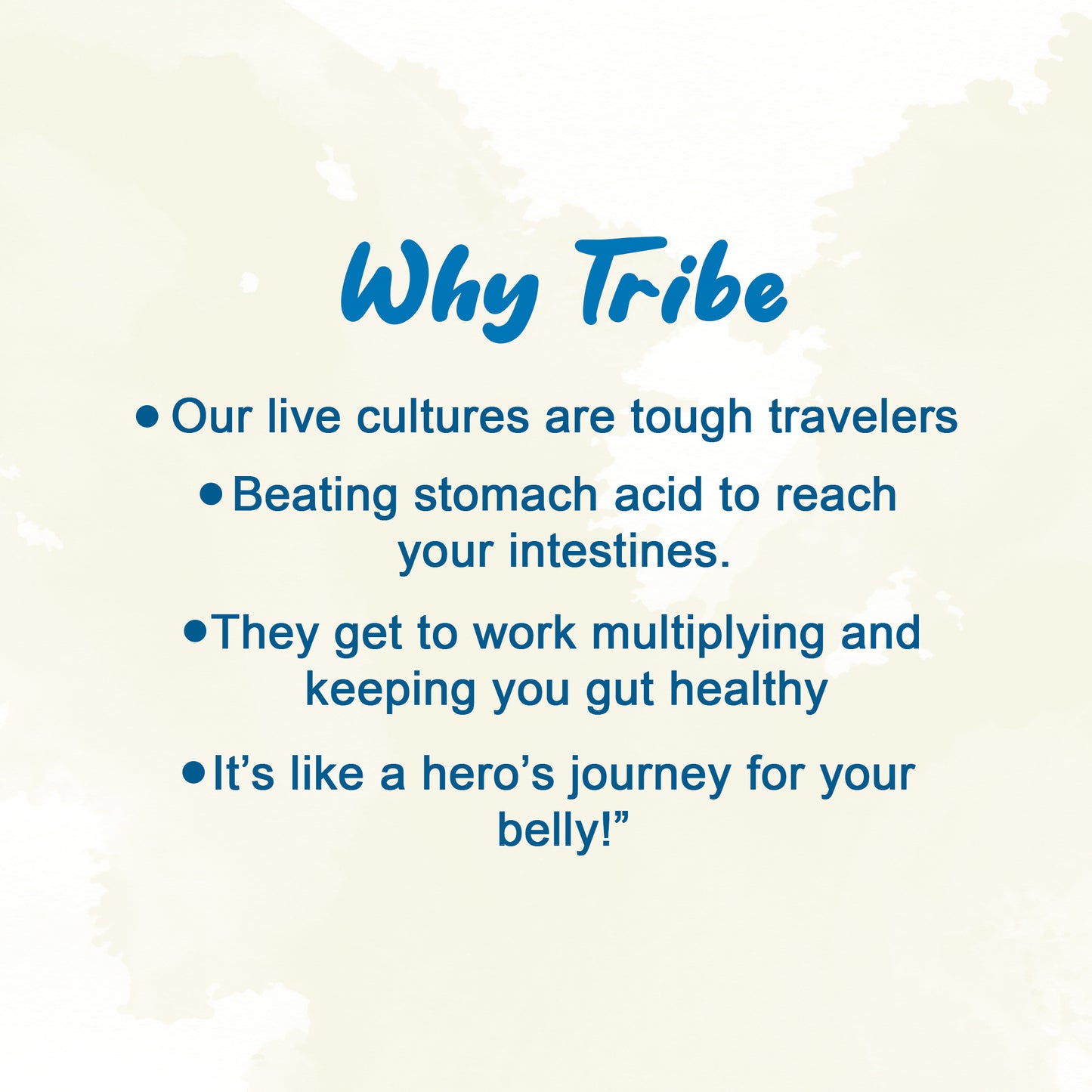 Tribe Kombucha Probiotic Super Drink | Supports Gut Health | Gluten-Free | Naturally Fermented | Super Refreshing |  Gluten free | Antioxidant and Hydration | Classic and Gingerade |Pack of 24 |250 ML