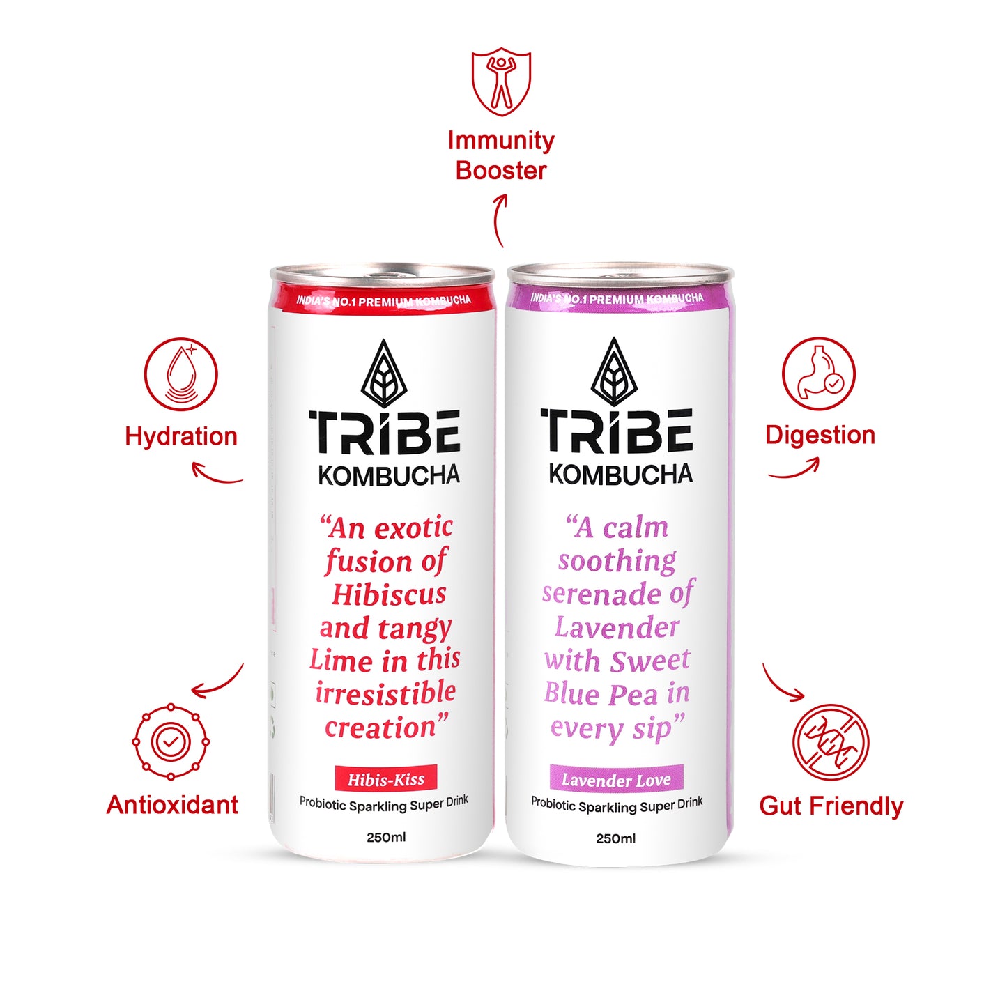 Tribe Kombucha Probiotic Super Drink | Supports Gut Health | Gluten-Free | Naturally Fermented | Super Refreshing | Gluten free | Antioxidant and Hydration | Lavender and Hibiscus| Pack of 24 |250 ML