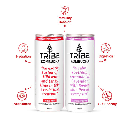 Tribe Kombucha Probiotic Super Drink | Supports Gut Health | Gluten-Free | Naturally Fermented | Super Refreshing | Gluten free | Antioxidant and Hydration | Lavender and Hibiscus| Pack of 24 |250 ML