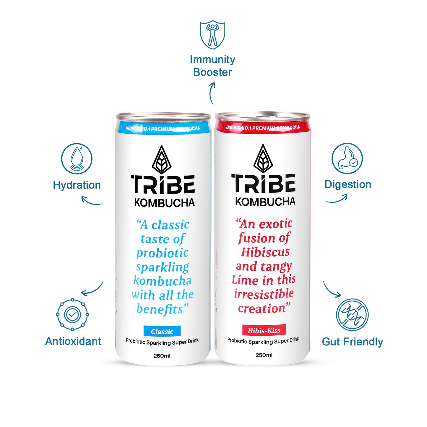 Tribe Kombucha Probiotic Super Drink | Supports Gut Health | Gluten-Free | Naturally Fermented | Super Refreshing | Gluten free | Antioxidant and Hydration | Classic and Hibiscus| Pack of 24 |250 ML
