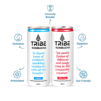 Tribe Kombucha Probiotic Super Drink | Supports Gut Health | Gluten-Free | Naturally Fermented | Super Refreshing | Gluten free | Antioxidant and Hydration | Classic and Hibiscus| Pack of 24 |250 ML
