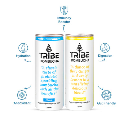 Tribe Kombucha Probiotic Super Drink | Supports Gut Health | Gluten-Free | Naturally Fermented | Super Refreshing |  Gluten free | Antioxidant and Hydration | Classic and Gingerade |Pack of 24 |250 ML