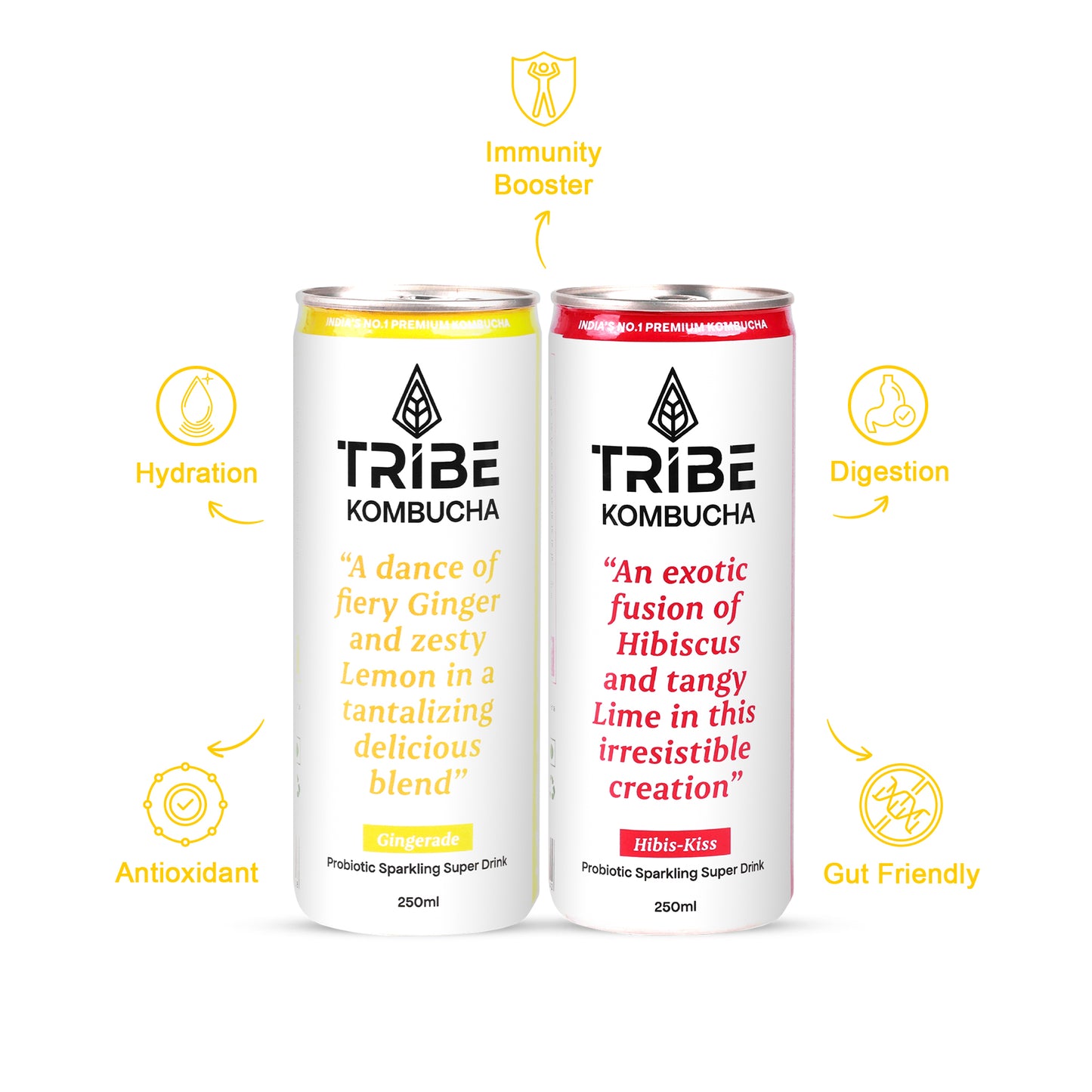 Tribe Kombucha Probiotic Super Drink | Supports Gut Health | Gluten-Free | Naturally Fermented | Super Refreshing | Gluten free | Antioxidant and Hydration | Gingerade and Hibiscus|Pack of 24 |250 ML
