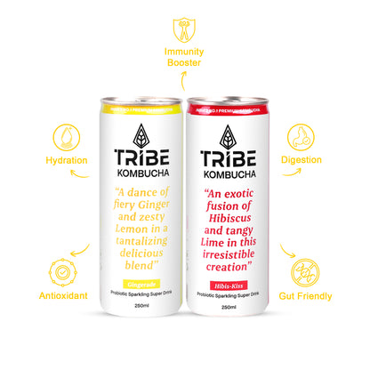 Tribe Kombucha Probiotic Super Drink | Supports Gut Health | Gluten-Free | Naturally Fermented | Super Refreshing | Gluten free | Antioxidant and Hydration | Gingerade and Hibiscus|Pack of 24 |250 ML