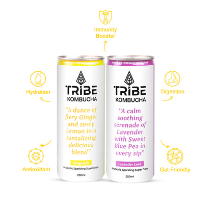 Tribe Kombucha Probiotic Super Drink | Supports Gut Health | Gluten-Free | Naturally Fermented | Super Refreshing | | Gluten free | Antioxidant and Hydration | Gingerade and Lavender| ack of 24 |250 ML