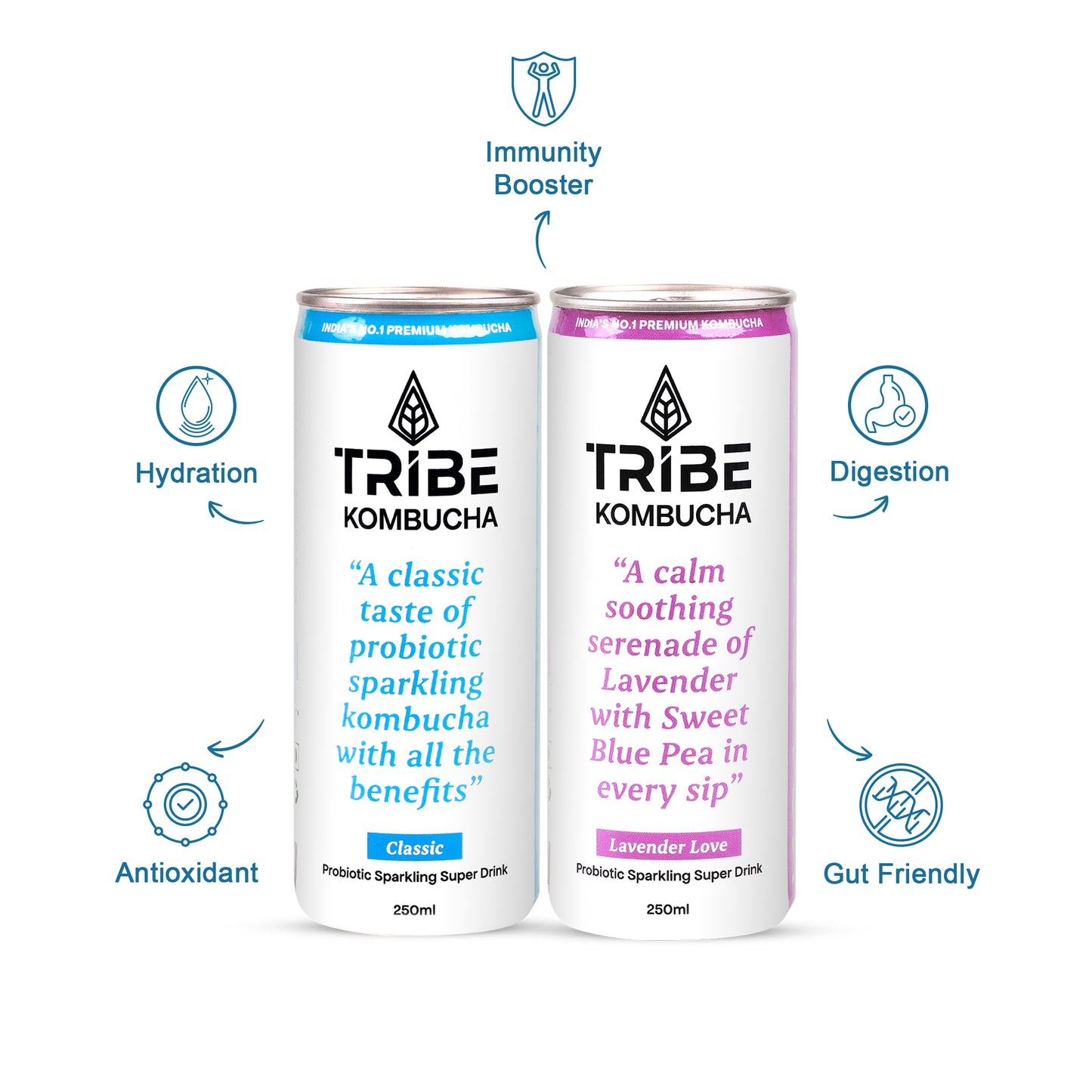 Tribe Kombucha Probiotic Super Drink | Supports Gut Health | Gluten-Free | Naturally Fermented | Super Refreshing | Classic and Lavender| Pack of 24 |250 ML