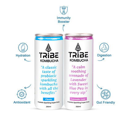 Tribe Kombucha Probiotic Super Drink | Supports Gut Health | Gluten-Free | Naturally Fermented | Super Refreshing | Classic and Lavender| Pack of 24 |250 ML