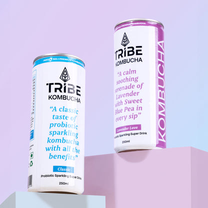 Tribe Kombucha Probiotic Super Drink | Supports Gut Health | Gluten-Free | Naturally Fermented | Super Refreshing | Classic and Lavender| Pack of 24 |250 ML