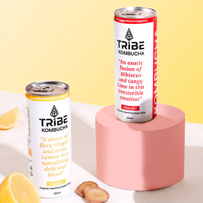 Tribe Kombucha Probiotic Super Drink | Supports Gut Health | Gluten-Free | Naturally Fermented | Super Refreshing | Gluten free | Antioxidant and Hydration | Gingerade and Hibiscus|Pack of 24 |250 ML