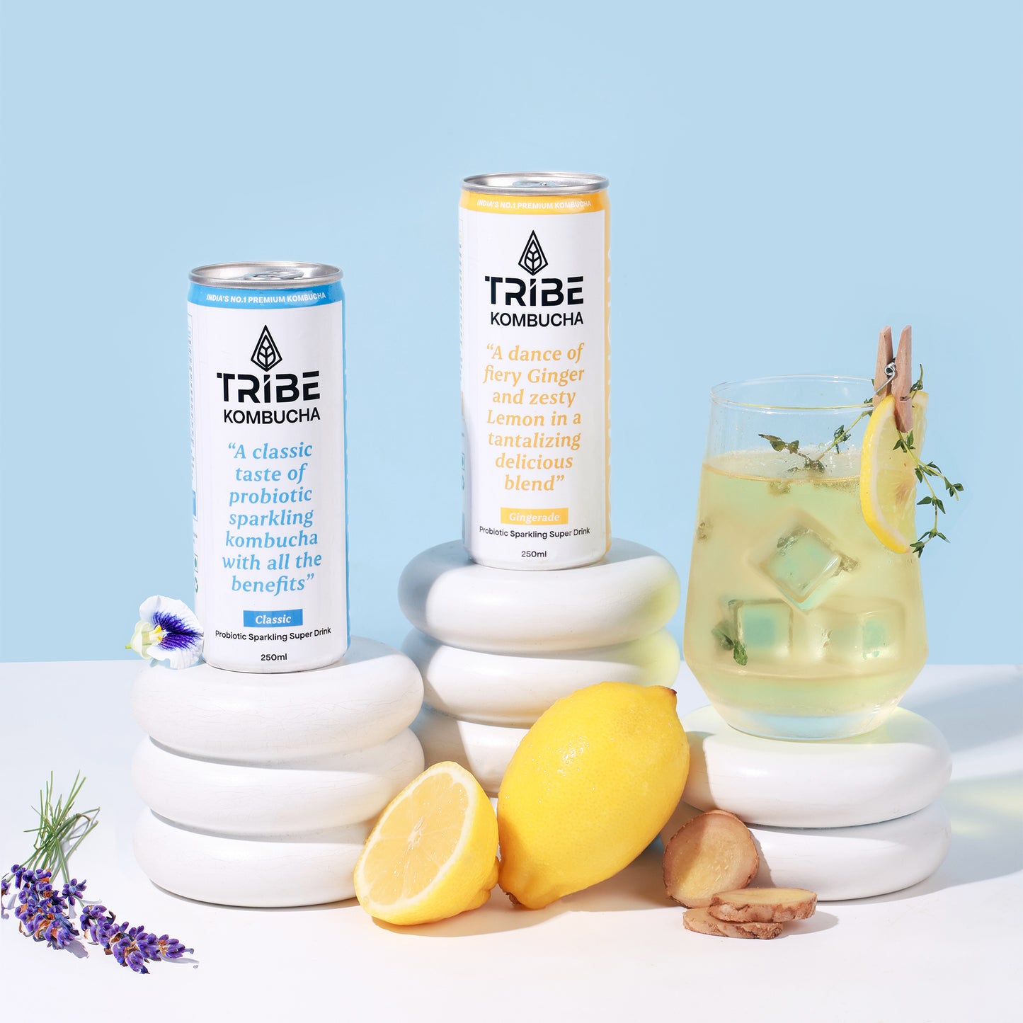 Tribe Kombucha Probiotic Super Drink | Supports Gut Health | Gluten-Free | Naturally Fermented | Super Refreshing |  Gluten free | Antioxidant and Hydration | Classic and Gingerade |Pack of 24 |250 ML