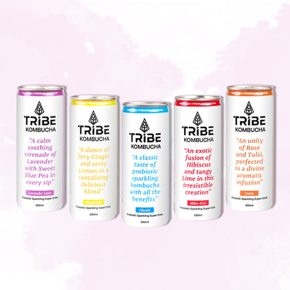 Tribe Kombucha Probiotic Super Drink | Supports Gut Health | Gluten-Free | Naturally Fermented | Super Refreshing | Classic and Lavender| Pack of 24 |250 ML