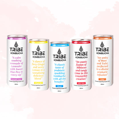 Tribe Kombucha Probiotic Super Drink | Supports Gut Health | Gluten-Free | Naturally Fermented | Super Refreshing | Gluten free | Antioxidant and Hydration | Classic and Hibiscus| Pack of 24 |250 ML
