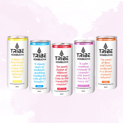 Tribe Kombucha Probiotic Super Drink | Supports Gut Health | Gluten-Free | Naturally Fermented | Super Refreshing | Gluten free | Antioxidant and Hydration | Lavender and Hibiscus| Pack of 24 |250 ML
