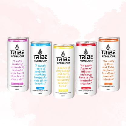 Tribe Kombucha Probiotic Super Drink | Supports Gut Health | Gluten-Free | Naturally Fermented | Super Refreshing | Gluten free | Antioxidant and Hydration | Gingerade and Hibiscus|Pack of 24 |250 ML