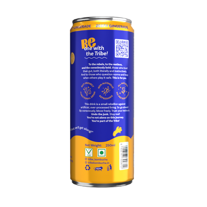 Tribe Kombucha Probiotic Super Drink