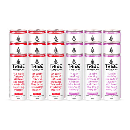 Tribe Kombucha Probiotic Super Drink | Supports Gut Health | Gluten-Free | Naturally Fermented | Super Refreshing | Gluten free | Antioxidant and Hydration | Lavender and Hibiscus| Pack of 24 |250 ML