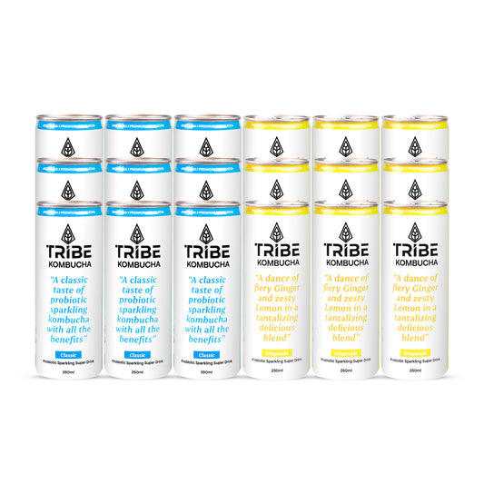 Tribe Kombucha Probiotic Super Drink | Supports Gut Health | Gluten-Free | Naturally Fermented | Super Refreshing |  Gluten free | Antioxidant and Hydration | Classic and Gingerade |Pack of 24 |250 ML