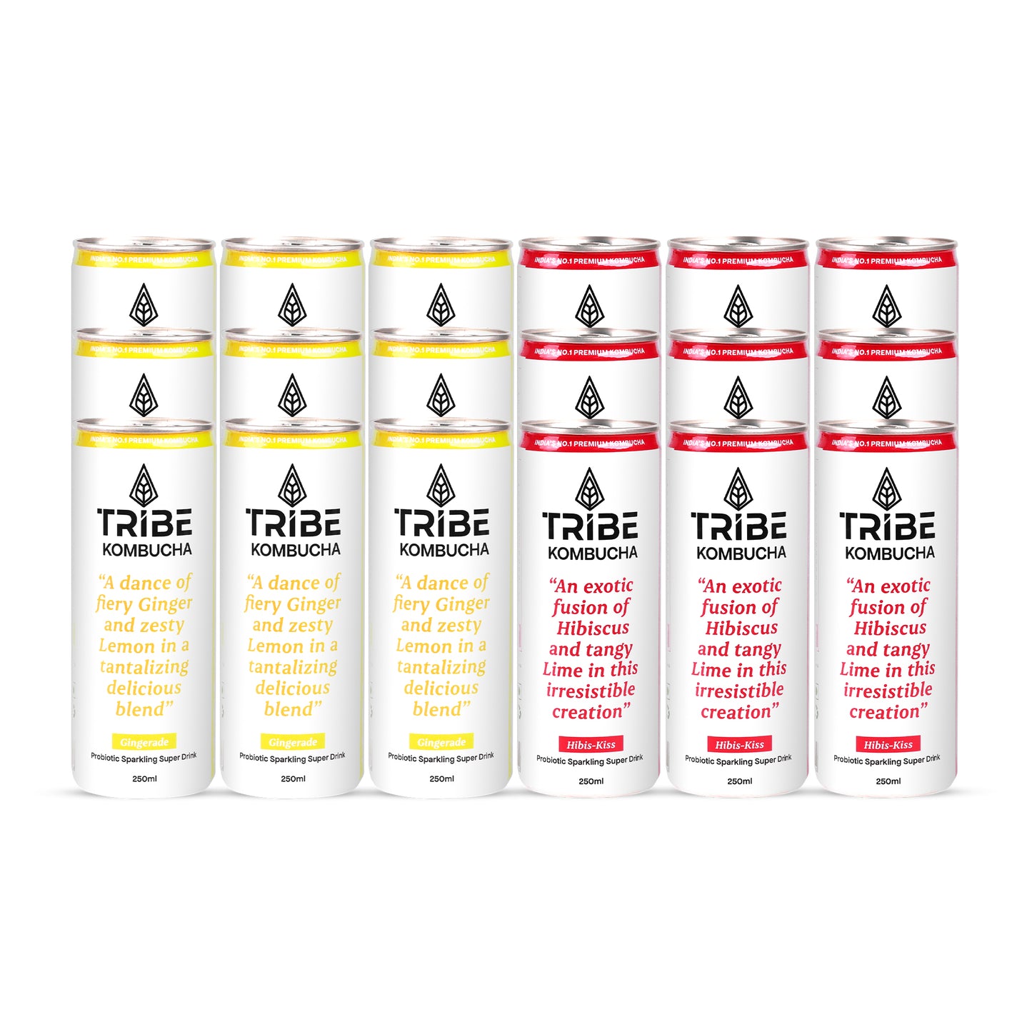 Tribe Kombucha Probiotic Super Drink | Supports Gut Health | Gluten-Free | Naturally Fermented | Super Refreshing | Gluten free | Antioxidant and Hydration | Gingerade and Hibiscus|Pack of 24 |250 ML
