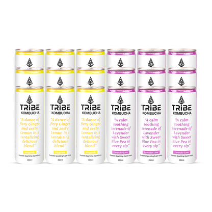 Tribe Kombucha Probiotic Super Drink | Supports Gut Health | Gluten-Free | Naturally Fermented | Super Refreshing | | Gluten free | Antioxidant and Hydration | Gingerade and Lavender| ack of 24 |250 ML