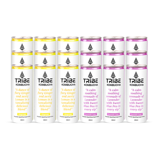 Tribe Kombucha Probiotic Super Drink | Supports Gut Health | Gluten-Free | Naturally Fermented | Super Refreshing | | Gluten free | Antioxidant and Hydration | Gingerade and Lavender| ack of 24 |250 ML